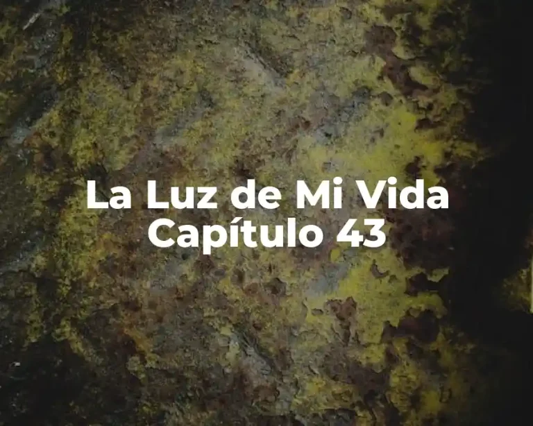 La Luz de Mi Vida Capítulo 43