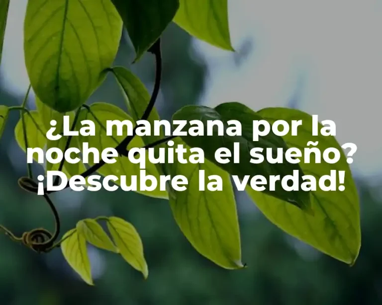 ¿La manzana por la noche quita el sueño? ¡Descubre la verdad!
