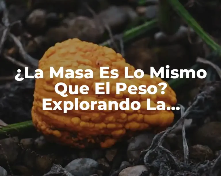 ¿La Masa Es Lo Mismo Que El Peso? Explorando La Diferencia