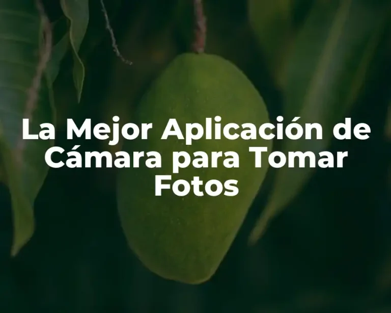 La Mejor Aplicación de Cámara para Tomar Fotos