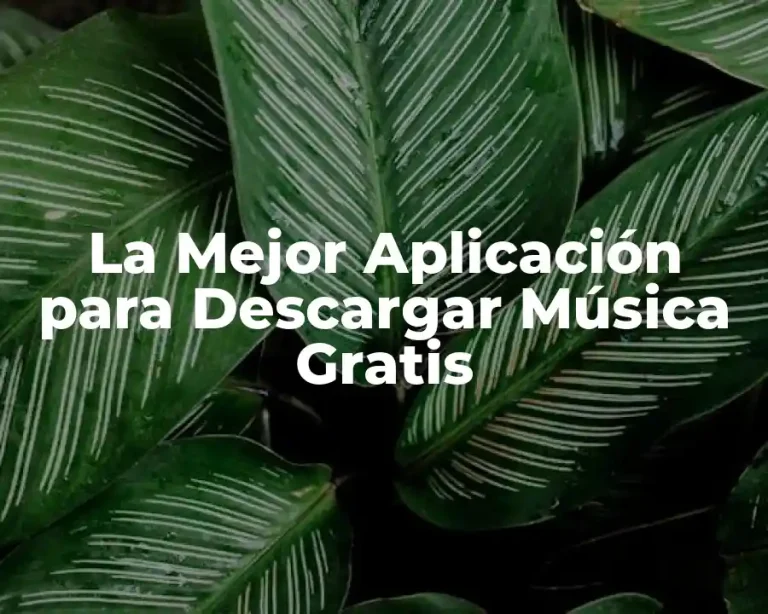 La Mejor Aplicación para Descargar Música Gratis
