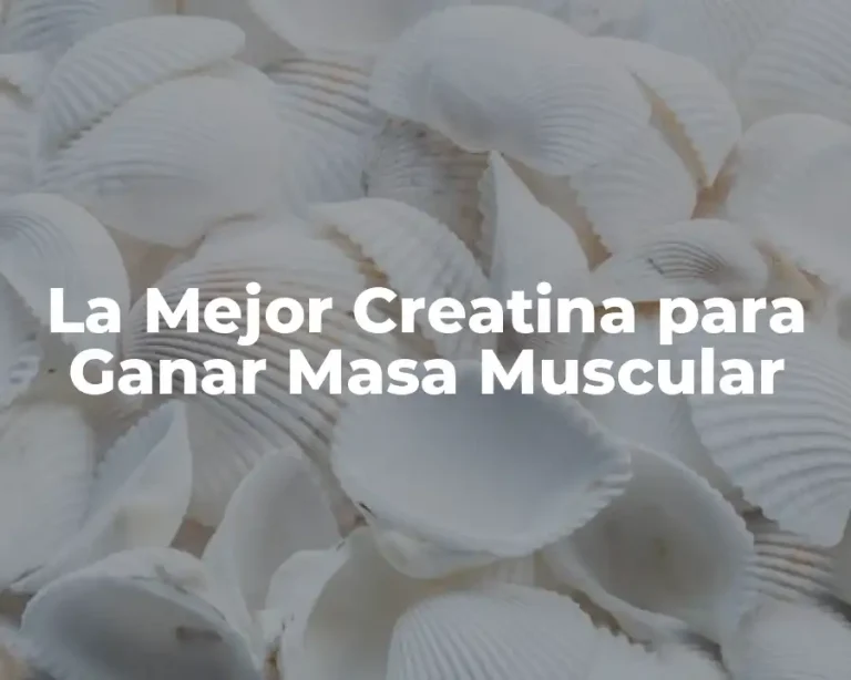 La Mejor Creatina para Ganar Masa Muscular