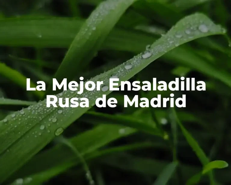 La Mejor Ensaladilla Rusa de Madrid