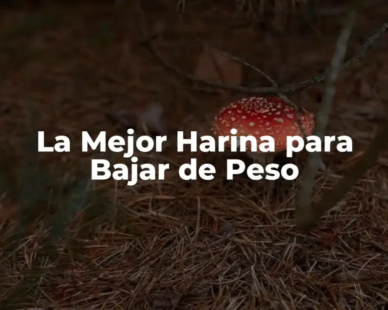 La Mejor Harina para Bajar de Peso