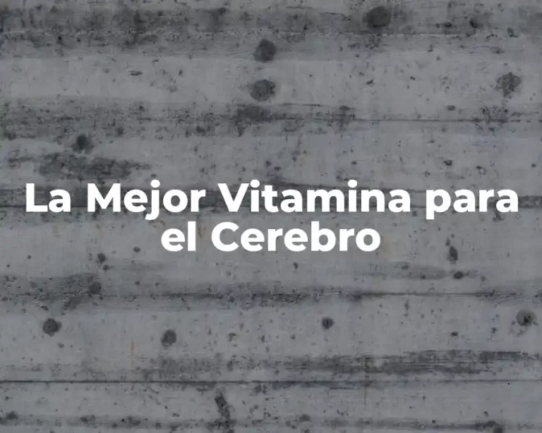 La Mejor Vitamina para el Cerebro