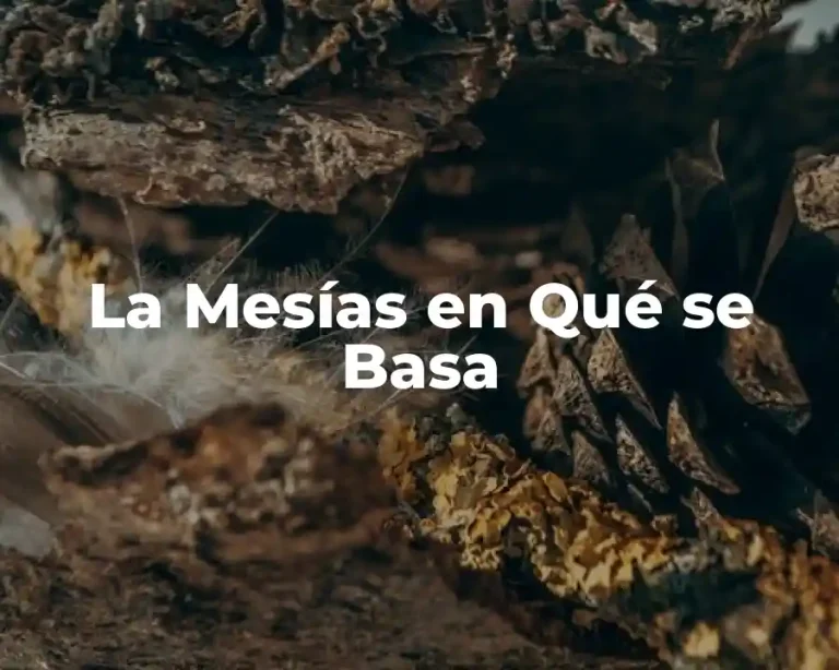 La Mesías en Qué se Basa
