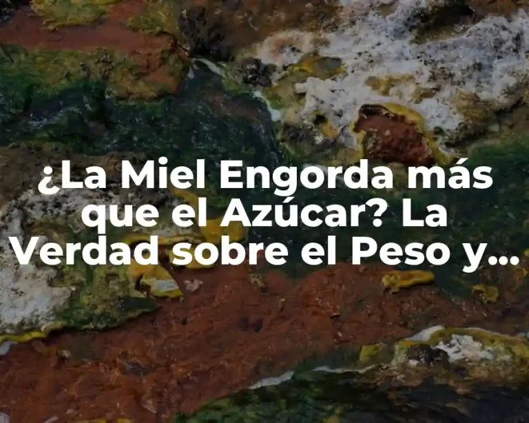 ¿La Miel Engorda más que el Azúcar? La Verdad sobre el Peso y los Edulcorantes