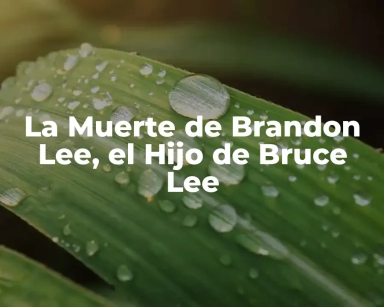 La Muerte de Brandon Lee, el Hijo de Bruce Lee