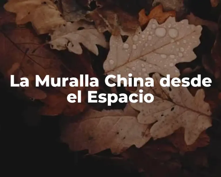 La Muralla China desde el Espacio