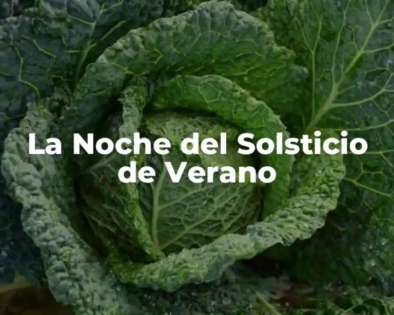 La Noche del Solsticio de Verano