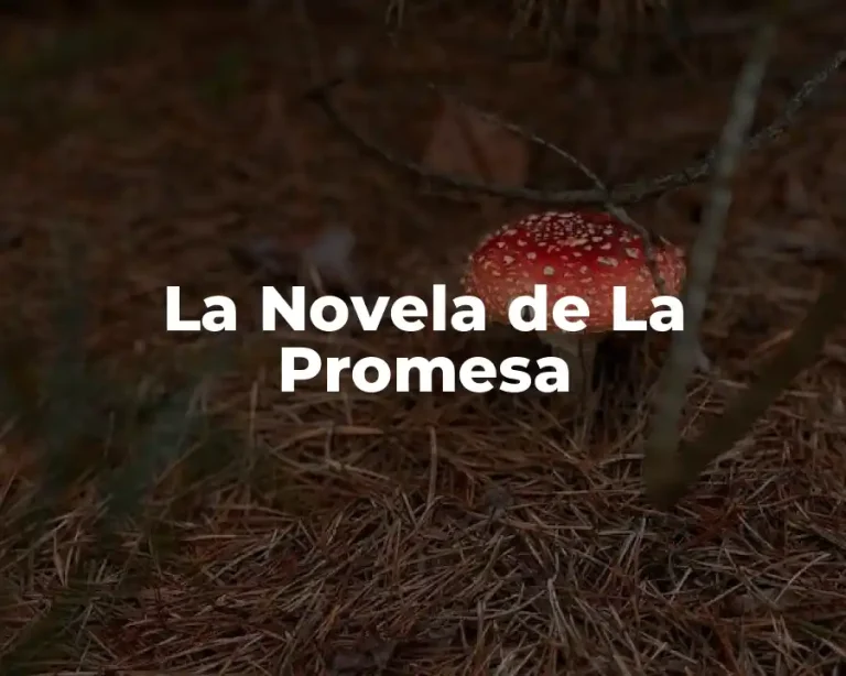 La Novela de La Promesa