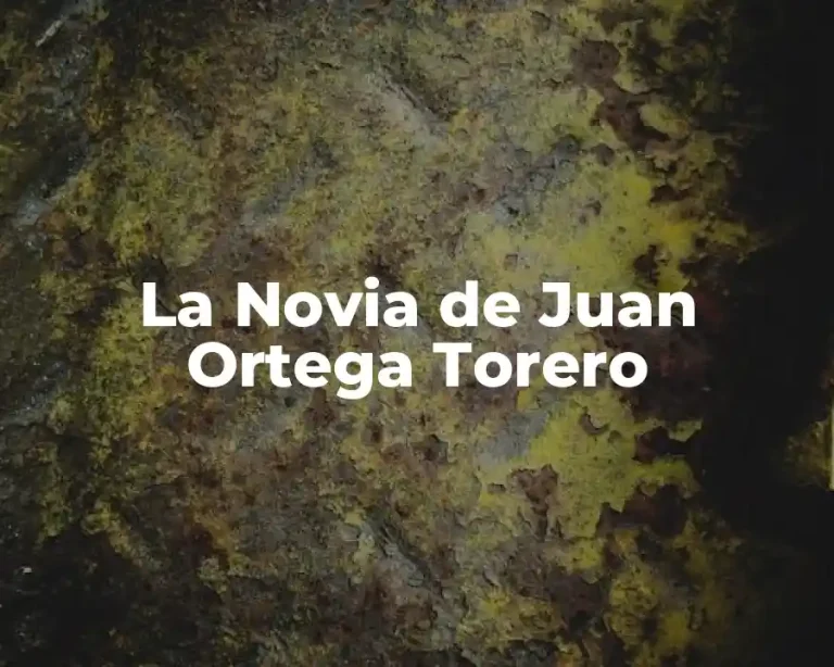 La Novia de Juan Ortega Torero