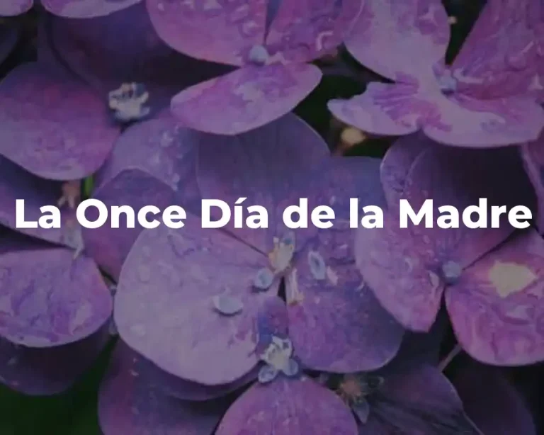 La Once Día de la Madre