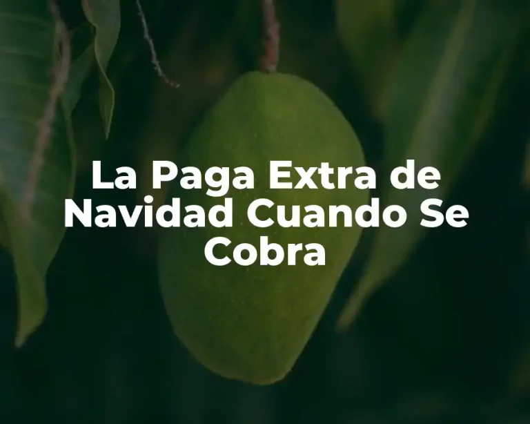 La Paga Extra de Navidad Cuando Se Cobra