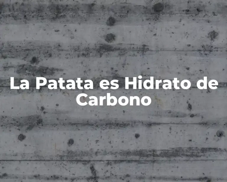 La Patata es Hidrato de Carbono