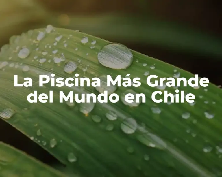 La Piscina Más Grande del Mundo en Chile