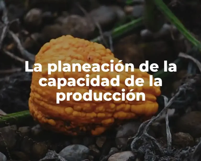 La planeación de la capacidad de la producción