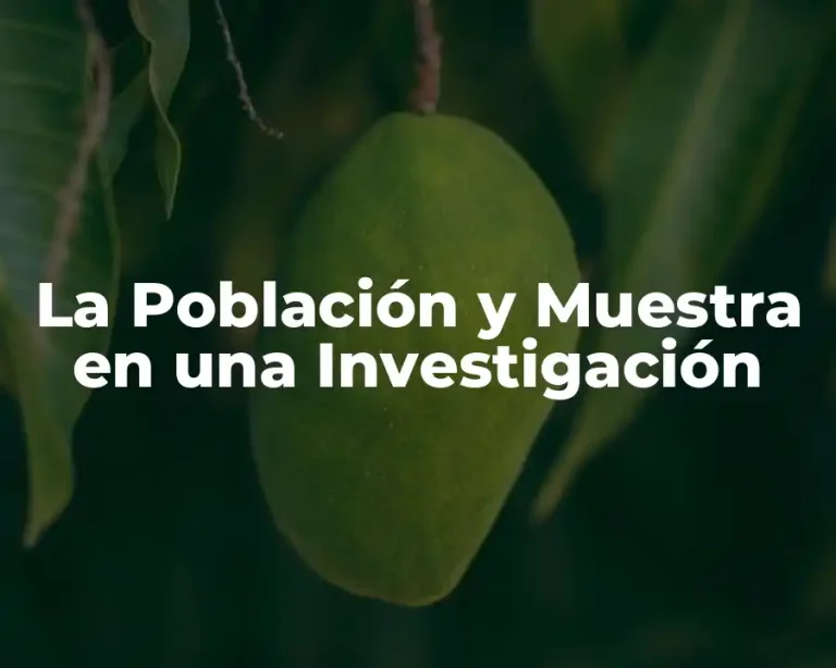 La Población y Muestra en una Investigación