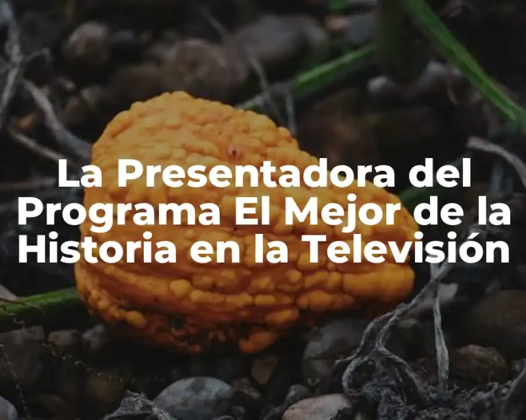 La Presentadora del Programa El Mejor de la Historia en la Televisión