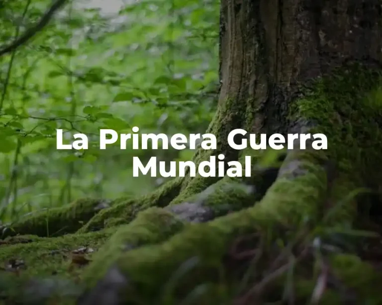 La Primera Guerra Mundial