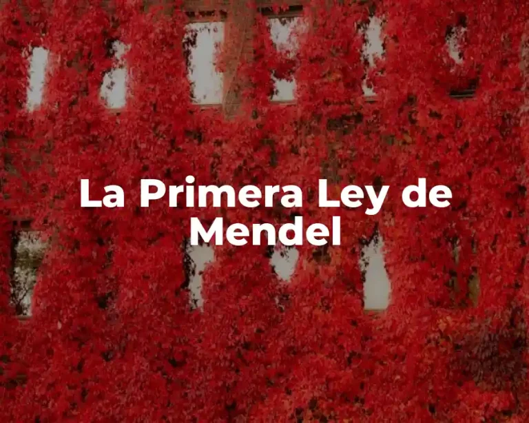 La Primera Ley de Mendel