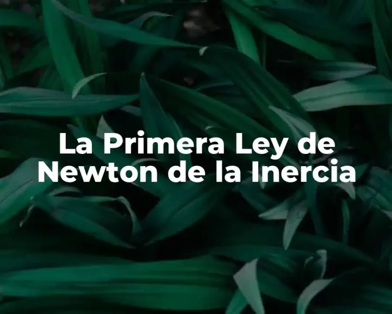 La Primera Ley de Newton de la Inercia