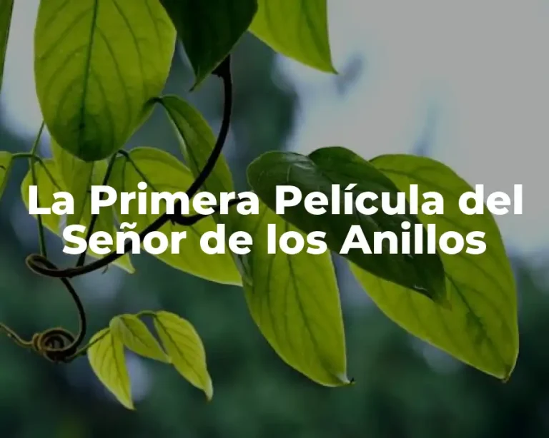 La Primera Película del Señor de los Anillos