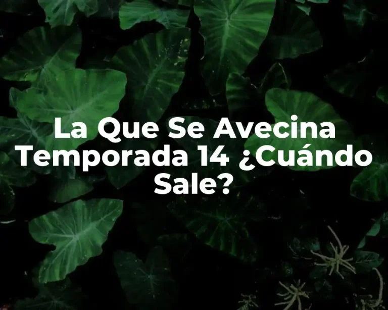 La Que Se Avecina Temporada 14 ¿Cuándo Sale?