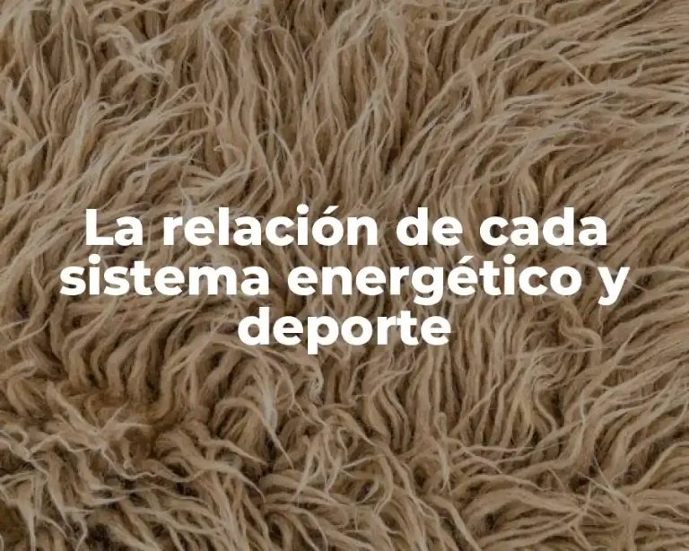 La relación de cada sistema energético y deporte