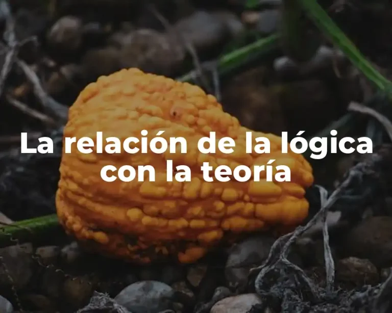 La relación de la lógica con la teoría