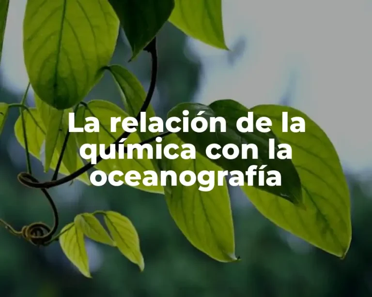 La relación de la química con la oceanografía