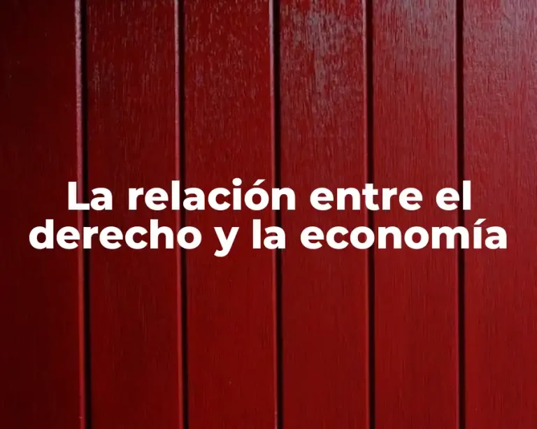 La relación entre el derecho y la economía