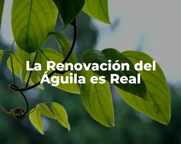 La Renovación del Águila es Real