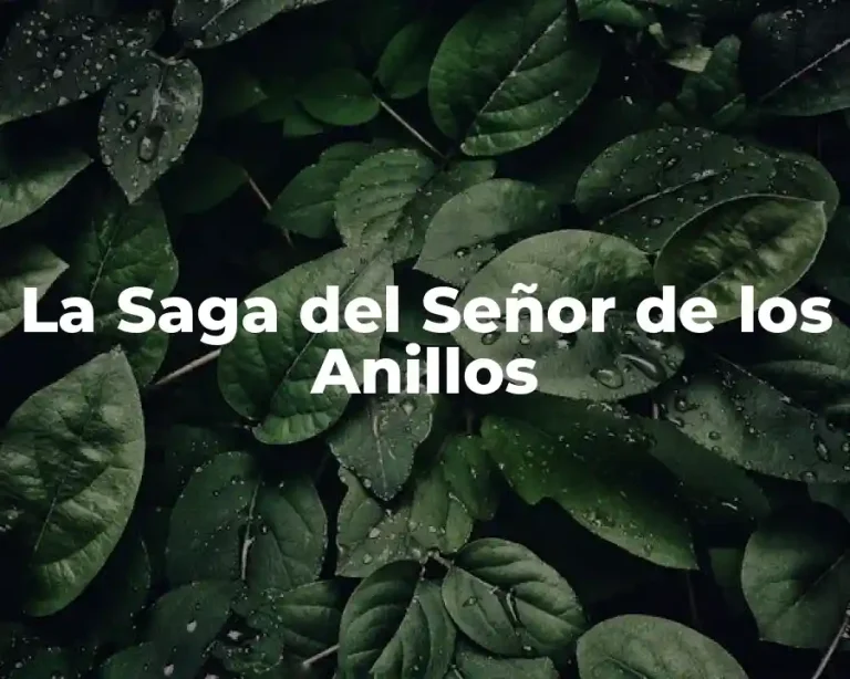 La Saga del Señor de los Anillos
