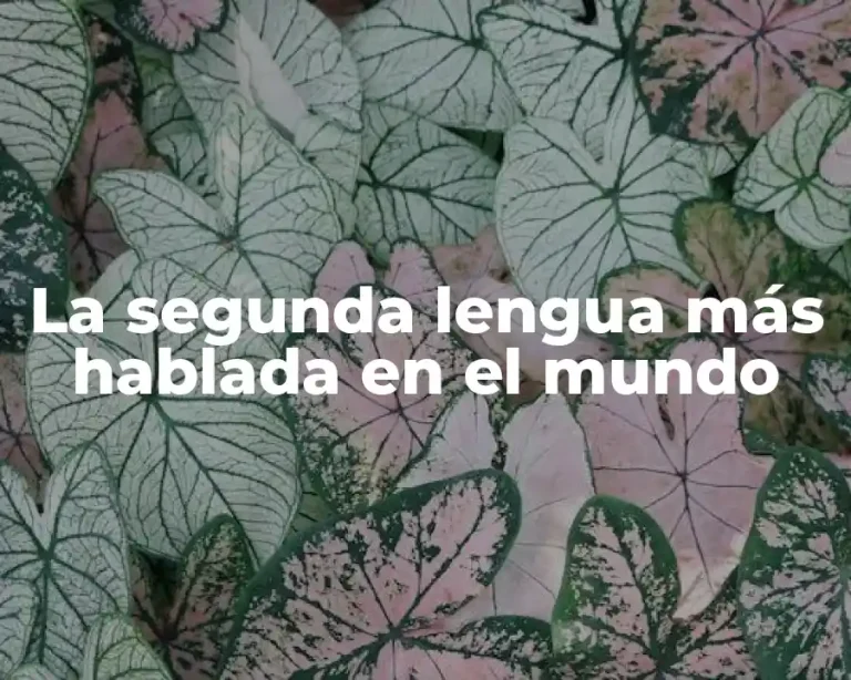 La segunda lengua más hablada en el mundo