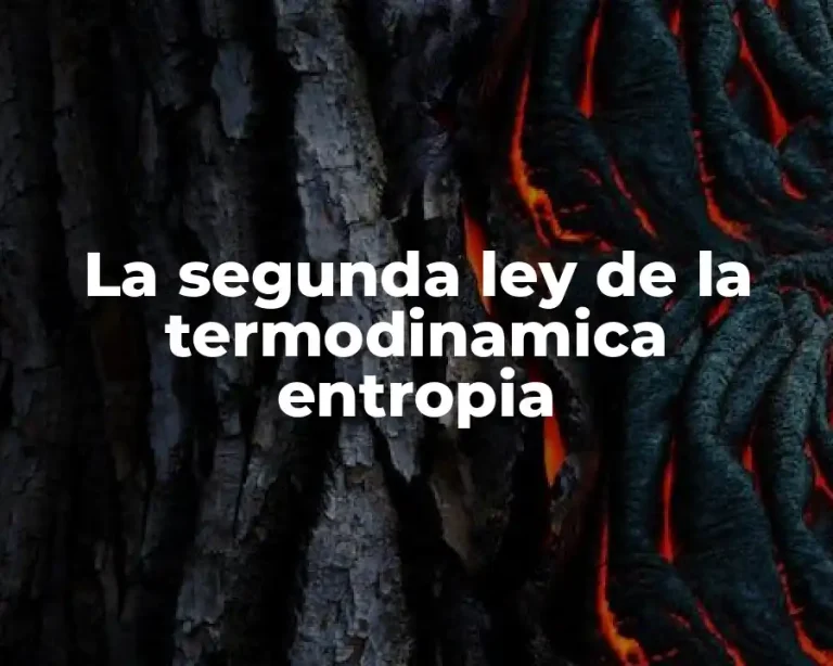 La segunda ley de la termodinamica entropia