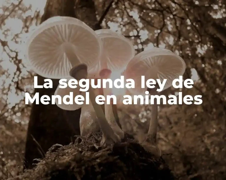La segunda ley de Mendel en animales