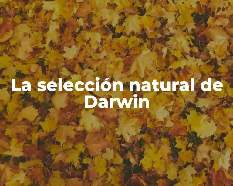 La selección natural de Darwin