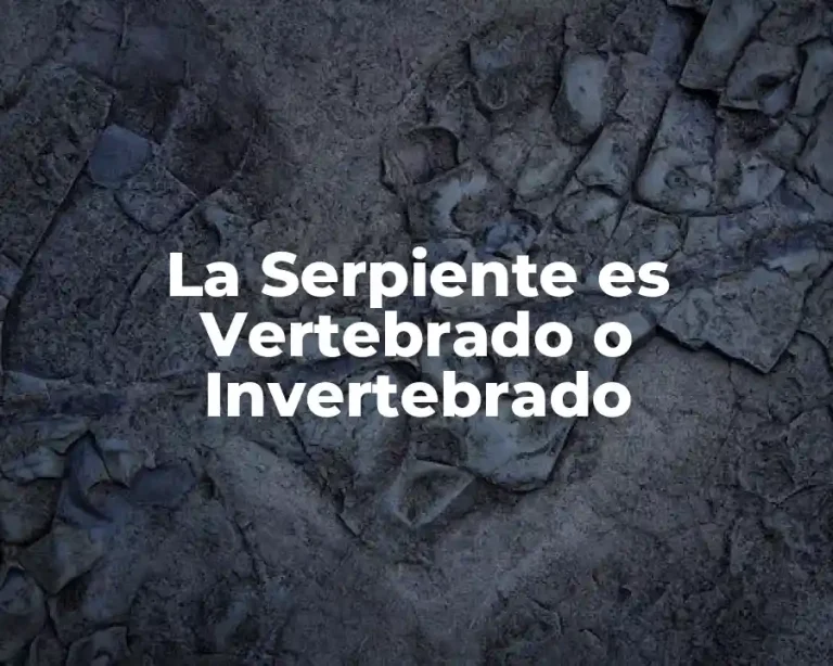 La Serpiente es Vertebrado o Invertebrado