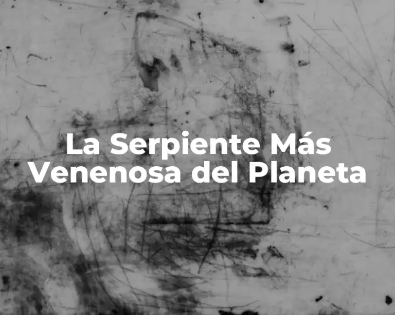 La Serpiente Más Venenosa del Planeta