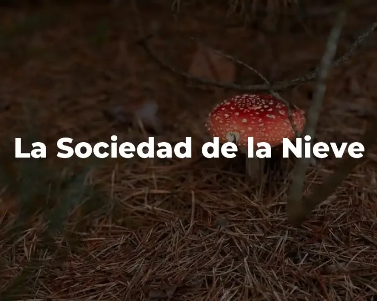 La Sociedad de la Nieve