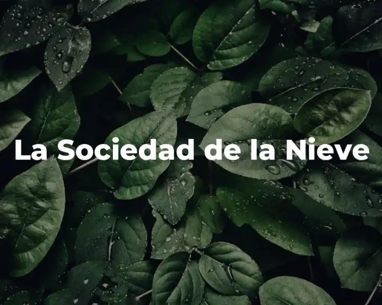 La Sociedad de la Nieve