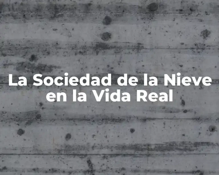 La Sociedad de la Nieve en la Vida Real