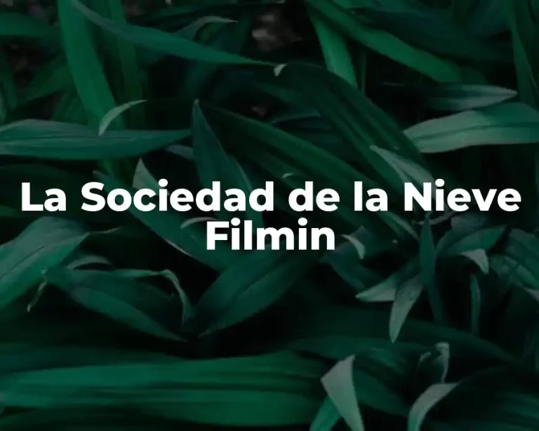 La Sociedad de la Nieve Filmin
