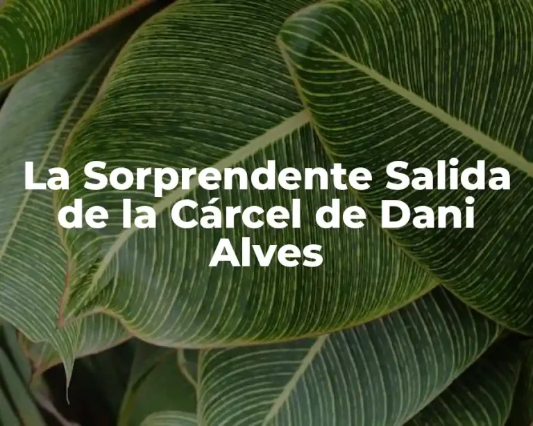 La Sorprendente Salida de la Cárcel de Dani Alves