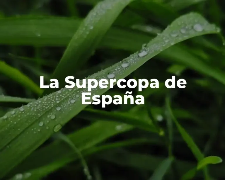 La Supercopa de España