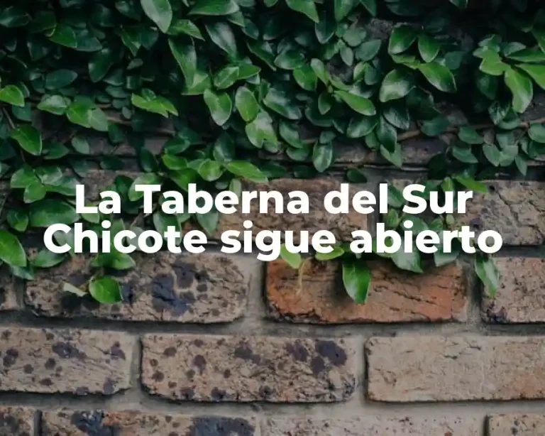 La Taberna del Sur Chicote sigue abierto
