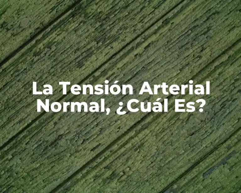 La Tensión Arterial Normal, ¿Cuál Es?