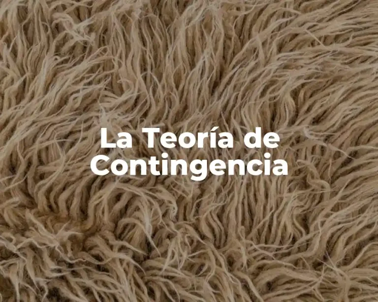 La Teoría de Contingencia