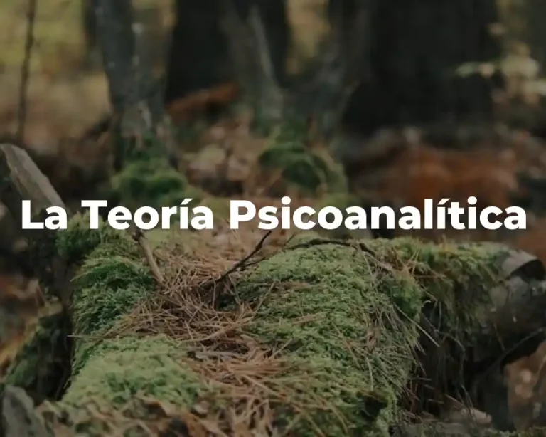 La Teoría Psicoanalítica